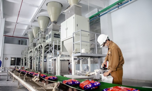 Ông lớn ngành hóa chất DGC ghi nhận doanh thu thuần quý II/2024 tăng 3,7%, tiền gửi ngân hàng hơn 9.700 tỷ đồng