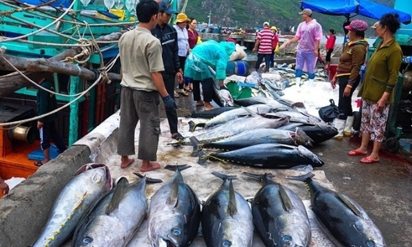 Xuất khẩu thủy sản Việt Nam quay trở lại quỹ đạo