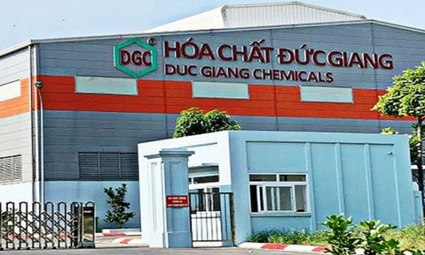 Hóa chất Đức Giang (DGC) tạm ứng cổ tức 2024 với tỷ lệ 30% bằng tiền mặt