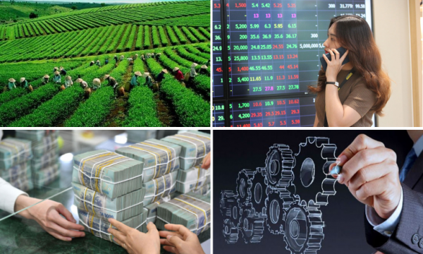 Những chính sách kinh tế mới có hiệu lực từ tháng 11/2024