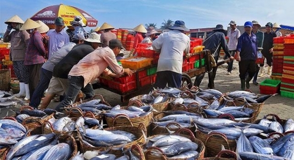 Xuất khẩu thủy sản năm 2025: Cơ hội và thách thức