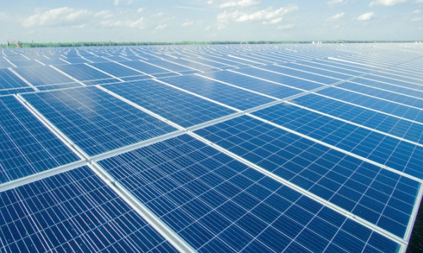 Bamboo Capital rót thêm 500 tỷ đồng vào công ty năng lượng tái tạo BCG Energy