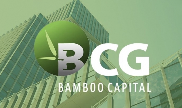 Bamboo Capital đạt lợi nhuận 546 tỷ trong năm 2022