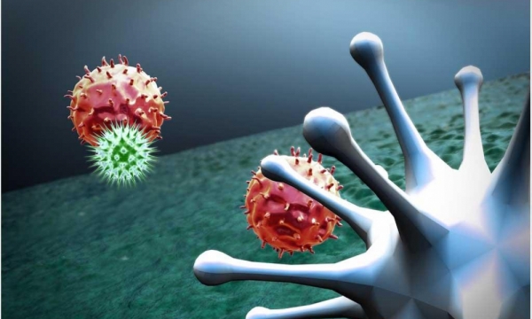 Nghiên cứu mới lý giải nguyên nhân khiến Omicron không thể gây bệnh nặng