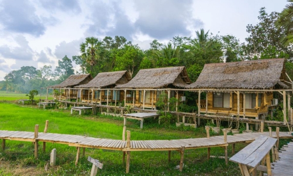 Mô hình farmstay: Du lịch nghỉ dưỡng hay hình thức biến tướng để chiếm đất rừng?