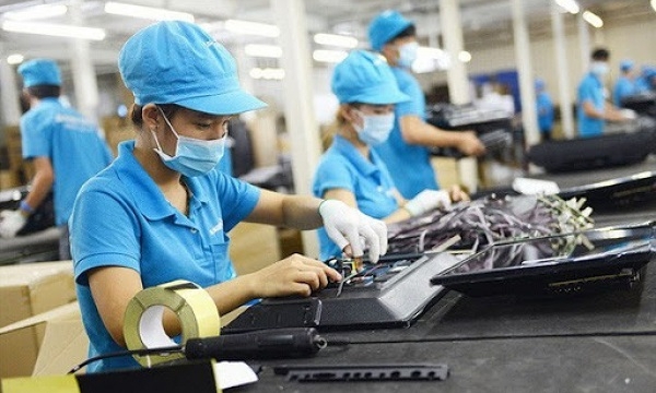 Chuyên gia 'hiến kế' giúp các doanh nghiệp vượt đại dịch