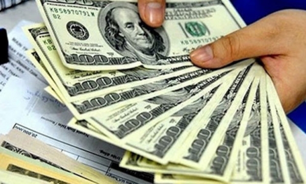 Tỷ giá USD hôm nay ngày 14/9: USD giảm giá trước lo ngại làn sóng doanh nghiệp phá sản