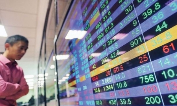 Những mã cổ phiếu giúp NĐT 'tránh bão Covid' thành công mà còn có mức sinh lợi đáng nể