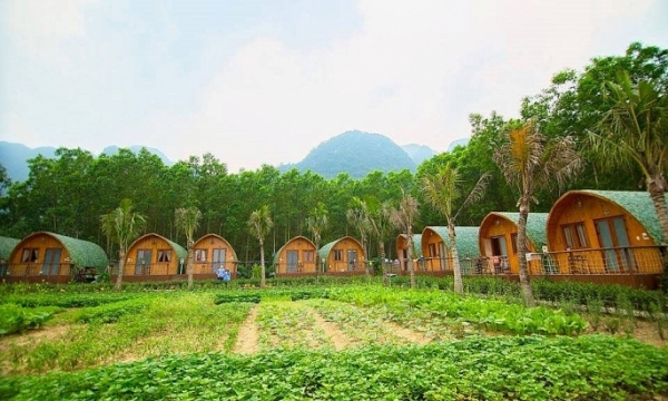 Hà Nội: Rà soát, xử lý vi phạm về đất đai tại các trang trại nghỉ dưỡng