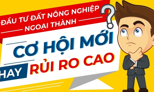 Đầu tư đất nông nghiệp: Lợi nhuận thấp, rủi ro cao?