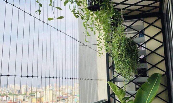 Nỗi đau từ ‘tử huyệt’ nhà chung cư: Đề xuất chủ đầu tư phải lắp lưới an toàn ban công