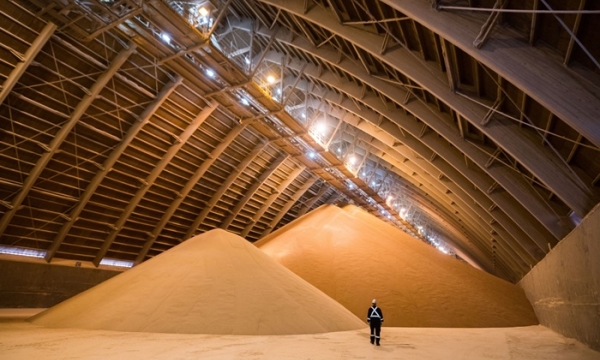 Nga dự kiến tạm ngừng xuất khẩu phân bón, nông dân toàn thế giới thiệt hại đáng kể