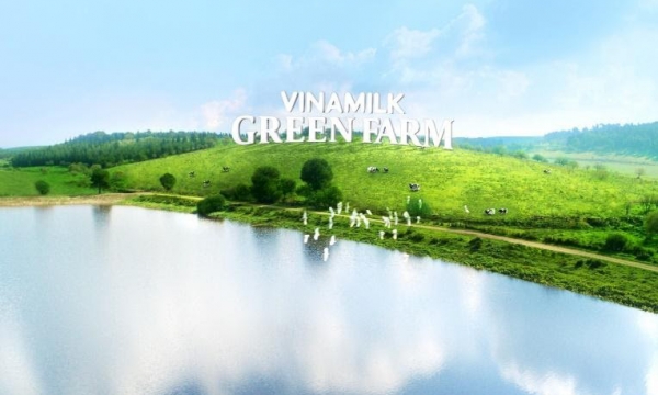 'Vượt sóng' Covid-19, Vinamilk thăng liền 6 hạng trong top 50 công ty sữa lớn nhất thế giới