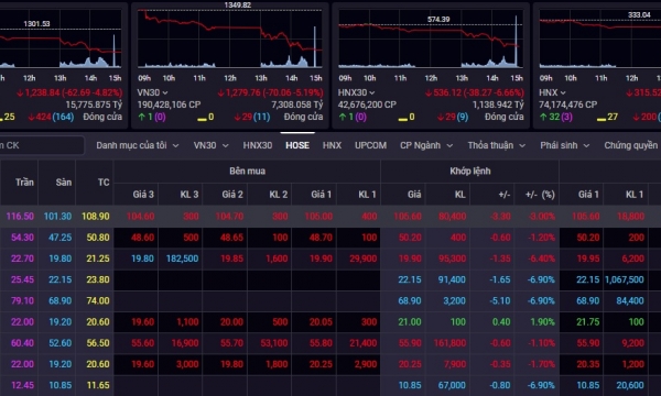Bluechips bị bán tháo mạnh, Vn-Index giảm sâu tới hơn 60 điểm
