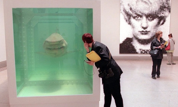 Sự giống nhau kỳ lạ giữa Bitcoin và xác con cá mập nằm trong bể foocmôn