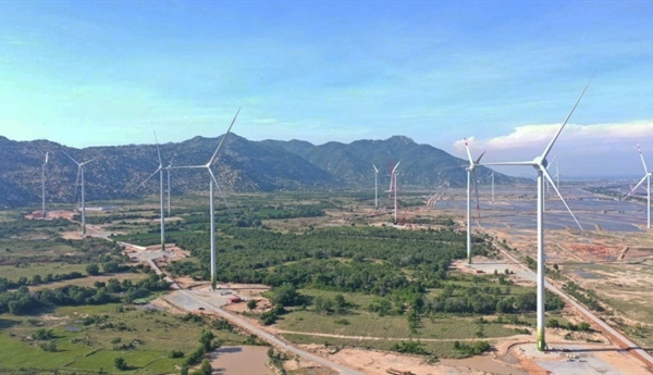 Xin chuyển rừng tự nhiên làm điện gió: Không nên đánh đổi!