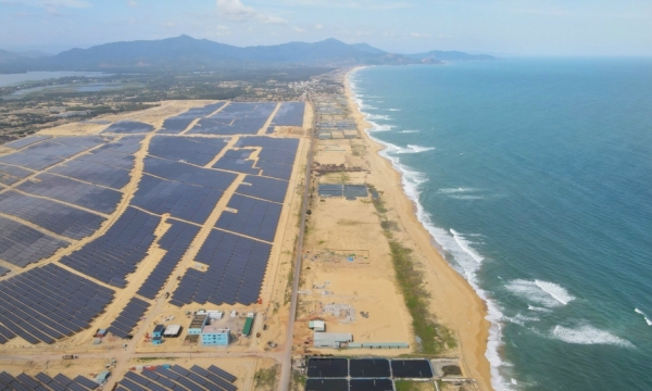 Chủ đầu tư Nhà máy điện mặt trời Phù Mỹ sẽ tích cực phối hợp khắc phục hậu quả