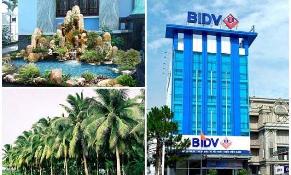 Hết vỏ bình gas, 'ông lớn' ngân hàng rao bán cả cây xanh, hồ nước non bộ