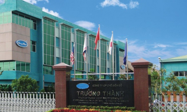 Gỗ Trường Thành (TTF) hoàn tất phát hành 100 triệu cổ phiếu chào bán riêng lẻ và cấn trừ nợ