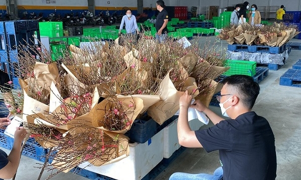 Sôi động chợ Tết trên các sàn thương mại điện tử