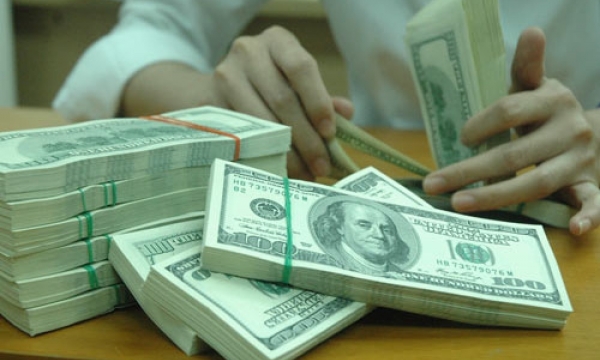 Tỷ giá ngoại tệ hôm nay 11/2: Đồng USD phục hồi trở lại