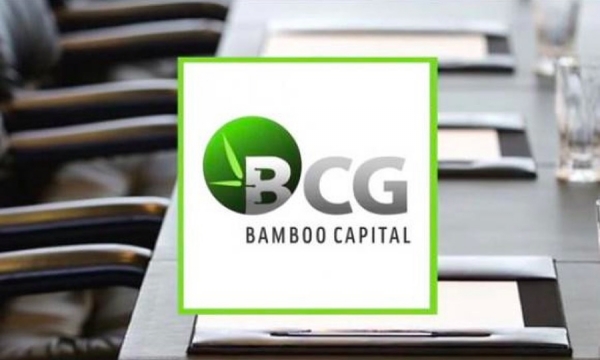 Dồn dập góp vốn 'khủng' vào dự án năng lượng tái tạo, ngân hàng, Bamboo Capital đang làm ăn ra sao?