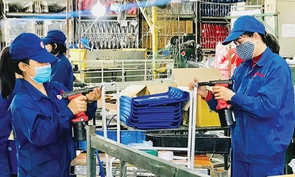 Cắt giảm điều kiện kinh doanh: Nghịch lý bộc lộ trong đại dịch