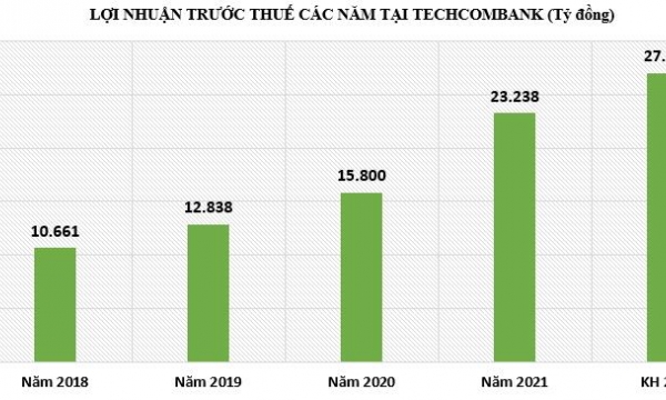 Techcombank năm thứ 11 không chia cổ tức, chọn tăng vốn bằng ESOP