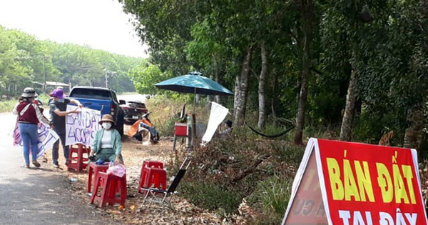 Dữ liệu bất động sản giải mã ẩn số sốt đất: Nơi chỉ vì ‘cò’ thổi giá, nơi tăng nóng do cầu thật bởi 4 nguyên nhân!