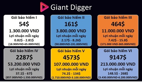 Nhiều nạn nhân Coolcat được mời chào chơi ngoại hối, tiền ảo