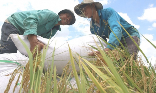 Mạnh tay chi quảng cáo, khuyến mại, lợi nhuận quý 1 của Lộc Trời phục hồi mạnh lên 182 tỷ đồng
