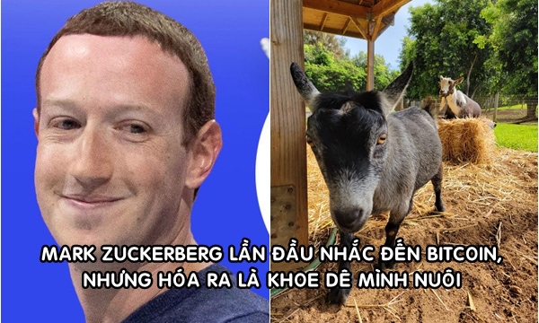 Mark Zuckerberg khoe ảnh nuôi dê, đặt tên là Bitcoin: Hút hơn 400.000 lượt thích sau hơn 3 giờ đăng tải