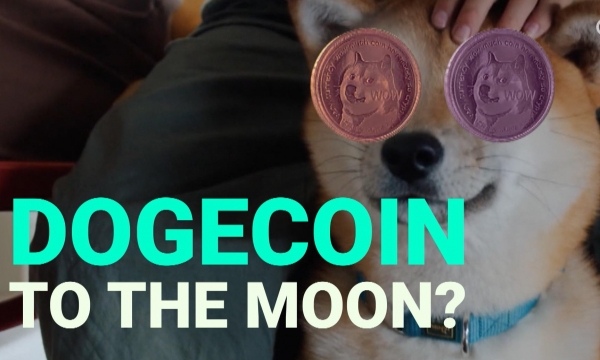Bóng bóng Dogecoin nổ tung: Giá trị giao dịch có ngày giảm 93%, các ‘cá voi’ nắm giữ nhiều nhất lo sợ