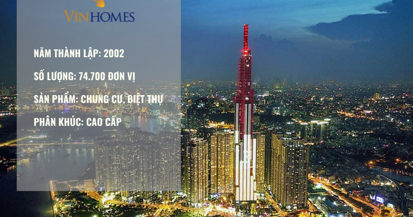 Hồ sơ Vinhomes - nhà phát triển BĐS lớn nhất Việt Nam: Hệ sinh thái tiện ích cực mạnh, quán quân về quỹ đất và bệ đỡ tài chính cho cả Vingroup