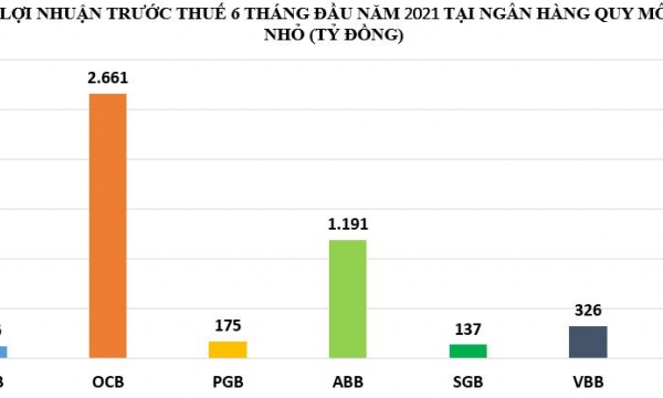 Đằng sau khối lợi nhuận 'khủng' tại các ngân hàng quy mô nhỏ