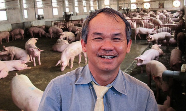 HAGL: Chuyển từ lỗ ngàn tỷ sang có lãi, mảng nuôi heo sau 1 năm đã thu về 94 tỷ lãi gộp trong quý 2 - gấp đôi con số từ cây ăn trái