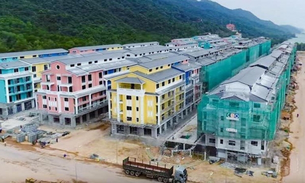 'Combo' tại CEO Group: Lợi nhuận lao dốc, tài chính 'kém sáng' và cổ phiếu giá 'trà đá'