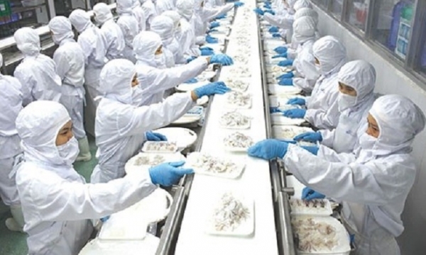 VASEP kiến nghị một loạt giải pháp hỗ trợ doanh nghiệp thủy sản 'sống chung với đại dịch'