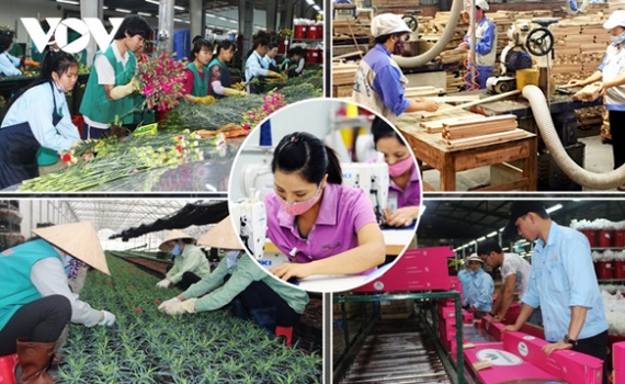 Mỗi tháng có gần 10,7 nghìn doanh nghiệp rút lui khỏi thị trường