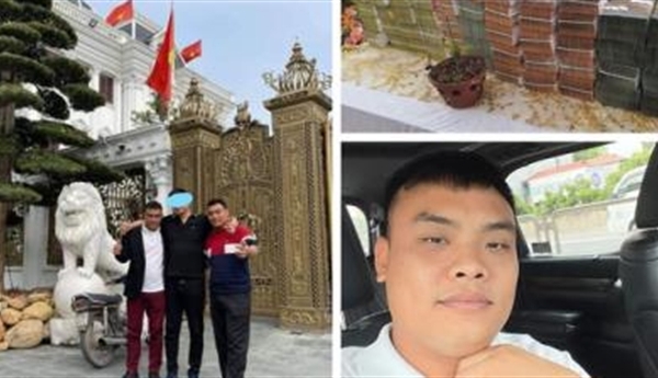 Bắt đại gia lan đột biến: Rà soát giao dịch trước?