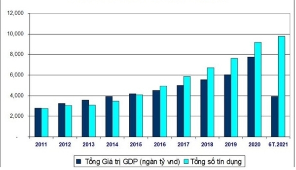 TS Đinh Thế Hiển: Cảnh báo thâm dụng vốn ngày càng nặng