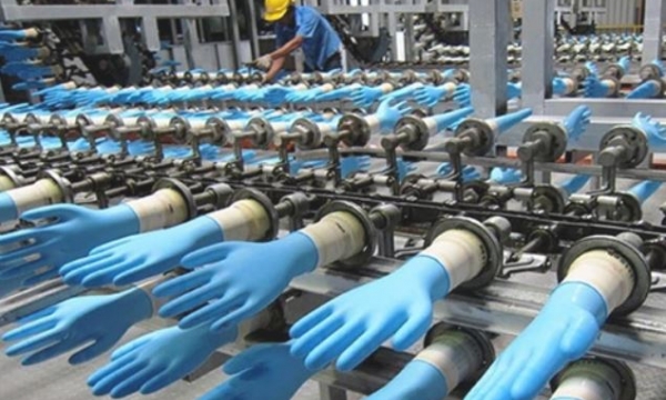 Ngân hàng siết khoản nợ hơn 1.000 tỷ của một công ty sản xuất găng tay y tế