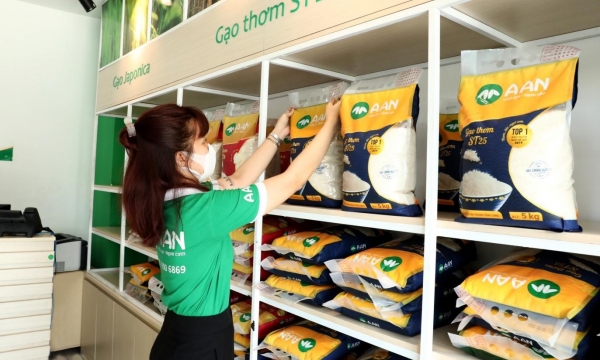 Canh tác lúa gạo an toàn, hạn chế sử dụng thuốc bảo vệ thực vật