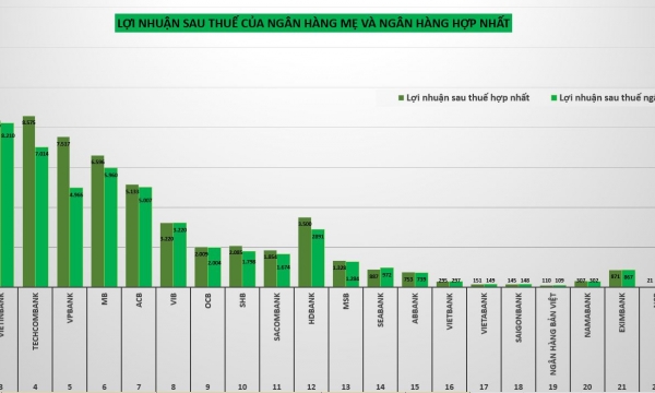 Lợi nhuận ngân hàng mẹ ra sao nếu không có công ty con?