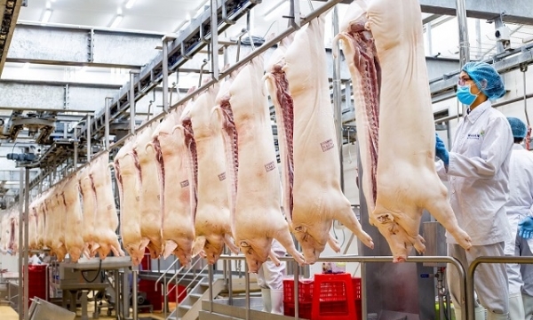 'Hệ sinh thái' của Masan Group nhộn nhịp chi cổ tức bằng tiền mặt