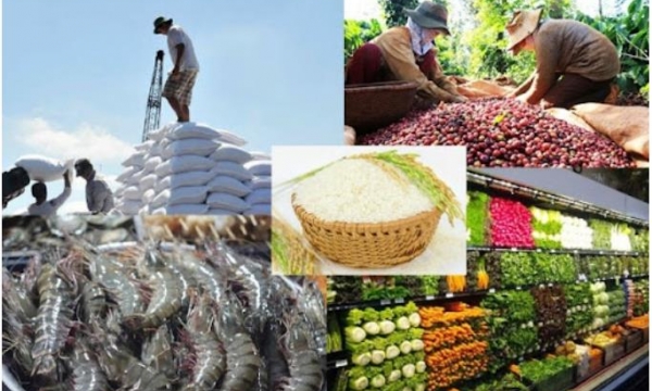 Tham gia Hiệp định Đối tác kinh tế toàn diện khu vực: Cơ hội lớn cho nông sản Việt Nam