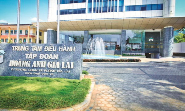 Cổ phiếu HAG đối diện nguy cơ hủy niêm yết, HAGL xin được 'thử thách' thêm