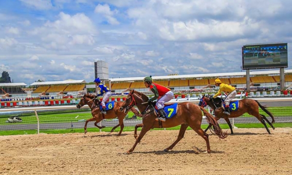 Đà Nẵng: Phê duyệt dự án trường đua ngựa và trang trại nuôi ngựa hơn 4.500 tỷ đồng