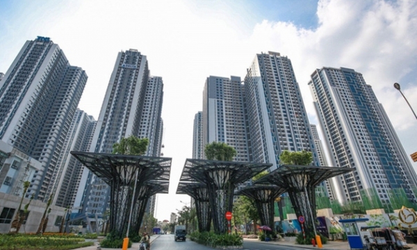 Hành trình TNR Holdings của bà Nguyệt Hường trở thành 'đại gia' bất động sản