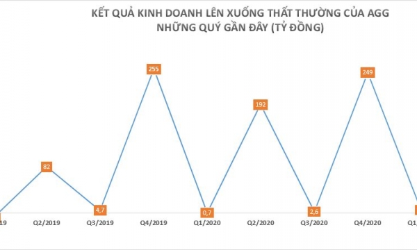 Bị xử phạt và truy thu thuế hơn 300 triệu đồng, bất động sản An Gia làm ăn ra sao?